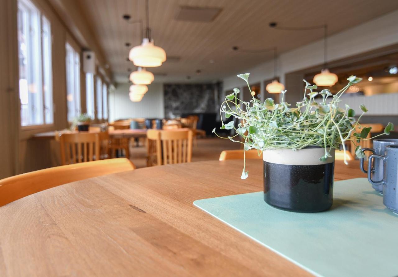 Kilpisjaerven Retkeilykeskus Rooms Kilpisjärvi Eksteriør billede